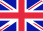 Current store's country flag