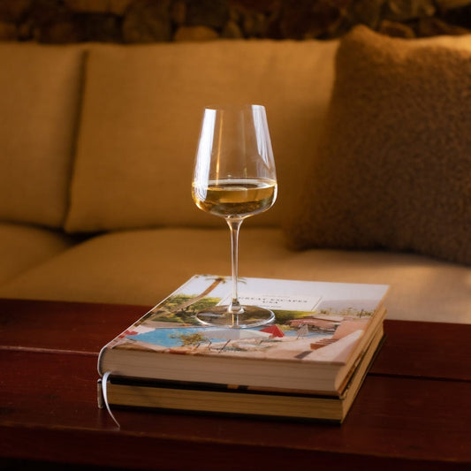 Wine glasses pro glassware by Fable Home, in a clear color. – #clear