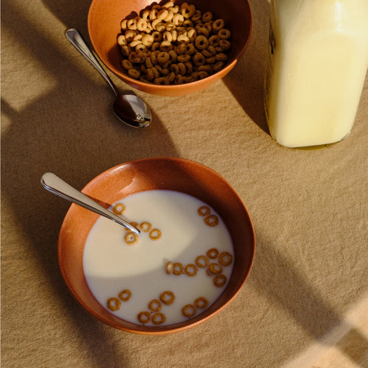 Breakfast Bowls by Fable Home, featured in a canyonclay finish. – #canyonclay