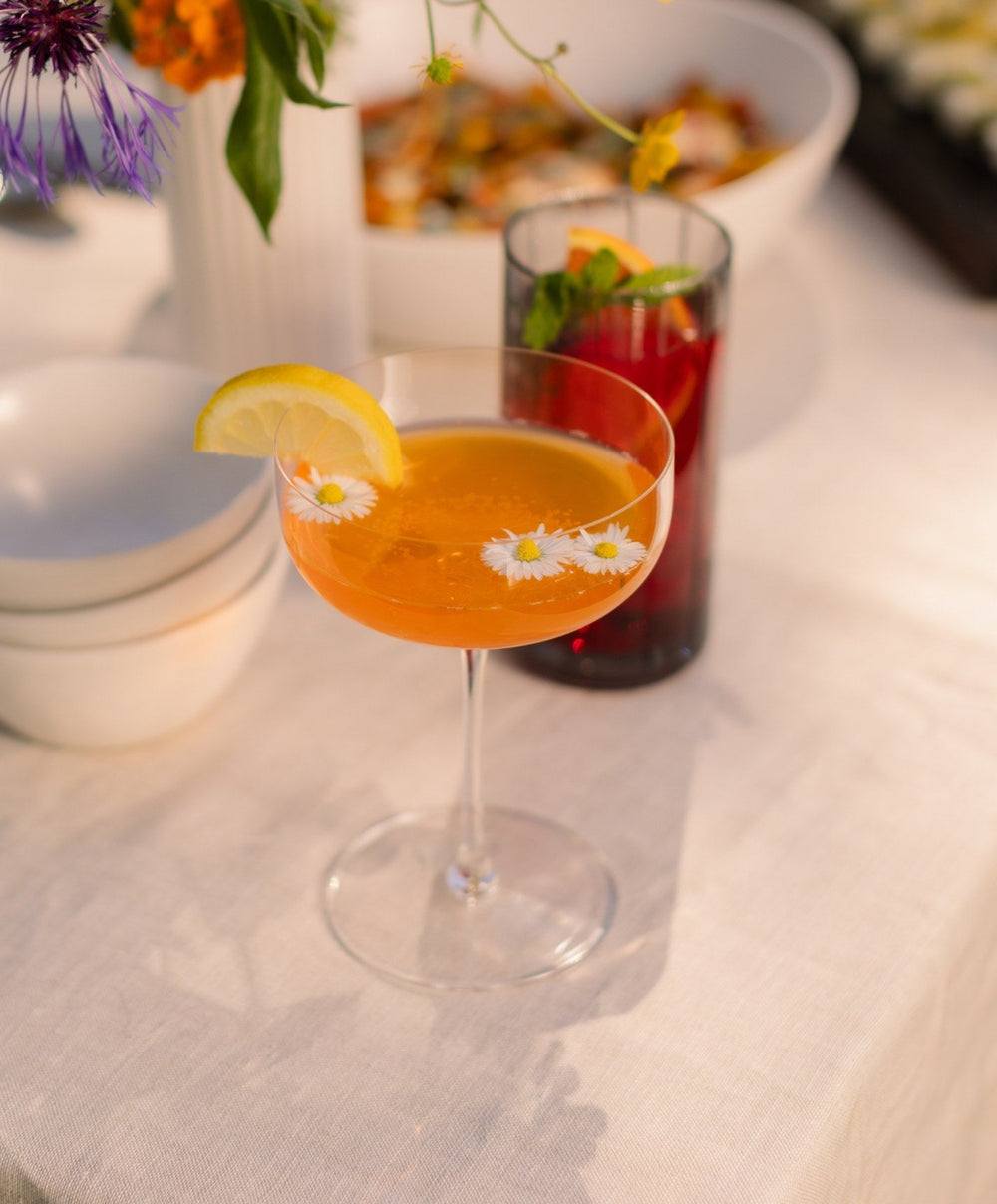 Coupe Glasses Pro by Fable Home, shown in Clear.