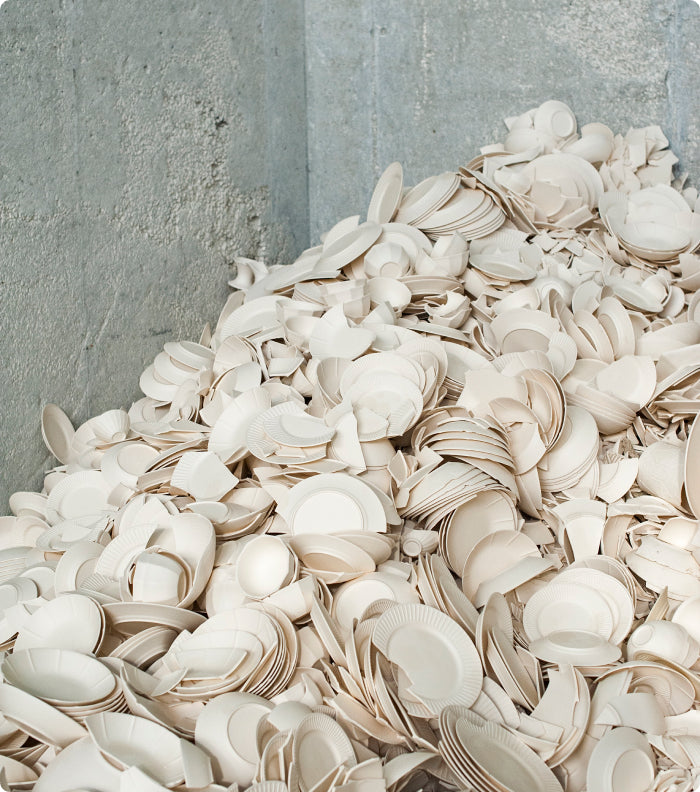 Sustainably Made