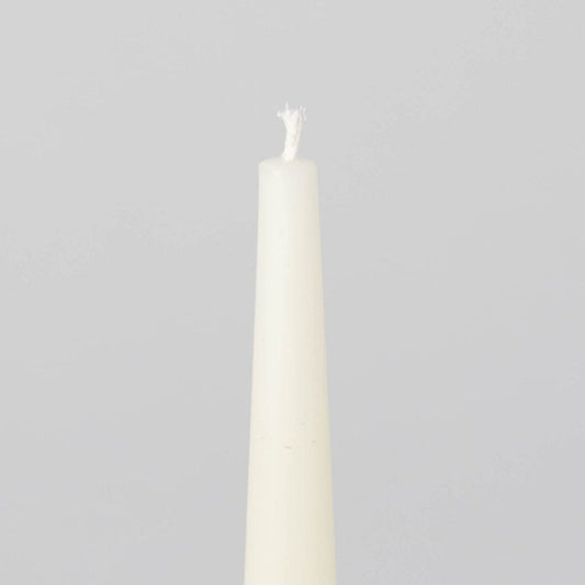Taper candles decor by Fable Home, in a short/cream color. – #short/cream